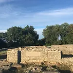& 'the Roots Near Pula, Istria, Croatia 아파트 풀라