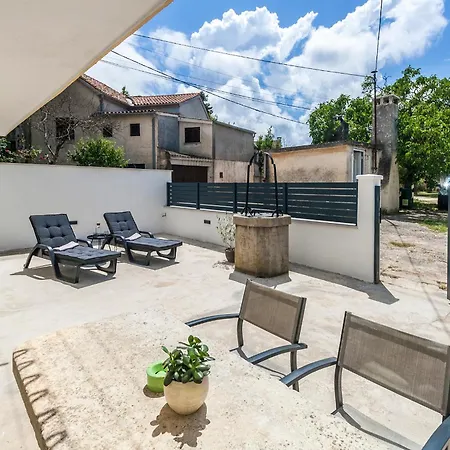 & 'the Roots Near Pula, Istria, Croatia