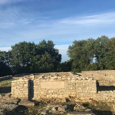 & 'the Roots Near Pula, Istria, Croatia アパート プーラ